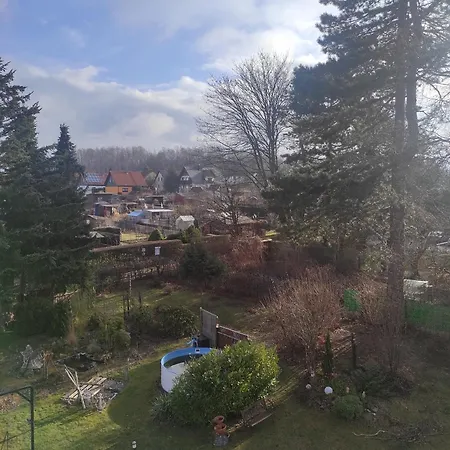 Sachsen Rosie * Hartmannsdorf bei Chemnitz