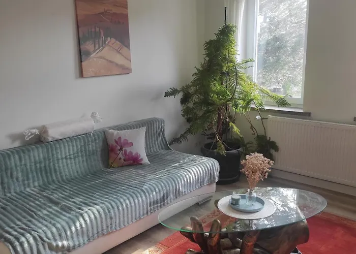 Sachsen Rosie Apartment Hartmannsdorf bei Chemnitz